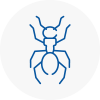 Ant Removals In South Bank