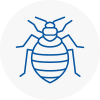 Bed Bug Extermination In South Bank
