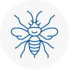 South Bank Hornet Nest Removals