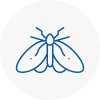 Moth Control Specialists In South Bank
