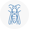 South Bank Wasp Nest Removal